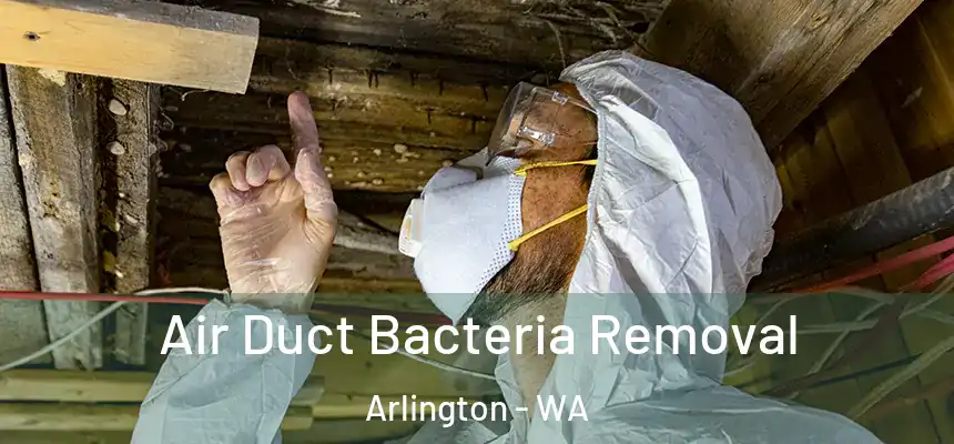  Air Duct Bacteria Removal Arlington - WA