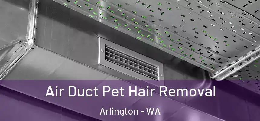  Air Duct Pet Hair Removal Arlington - WA