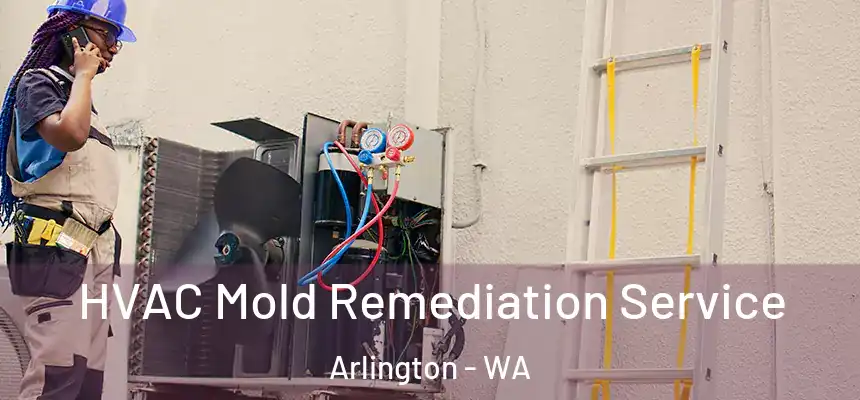  HVAC Mold Remediation Service Arlington - WA