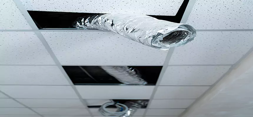 Our Air Duct Pet Hair Removal Services in Arlington, WA