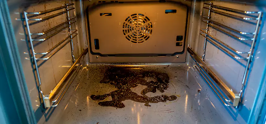 Our Dryer Vent Mold Cleaning Services in Arlington, WA