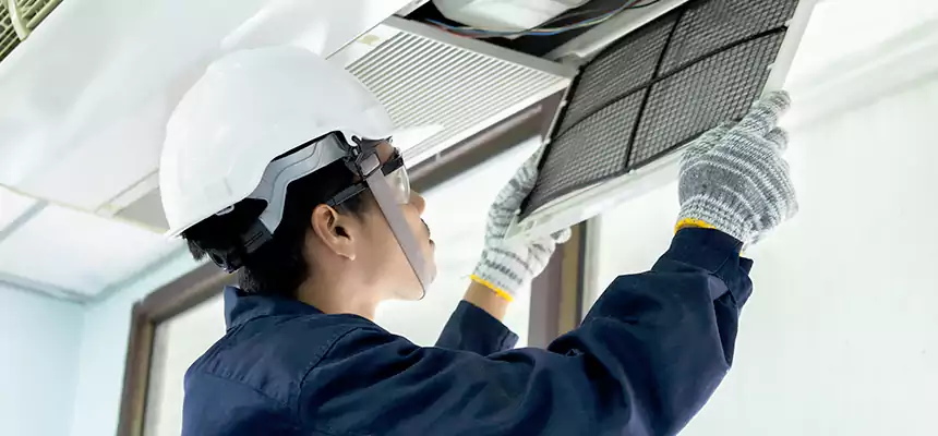 Our Mold & Mildew Removal from Air Ducts Services in Arlington, WA