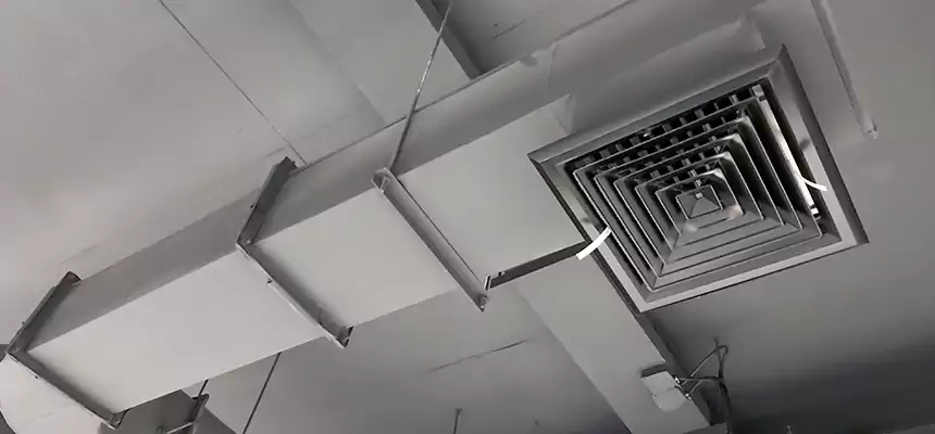 Our Pest Removal From Ducts Services in Arlington, WA