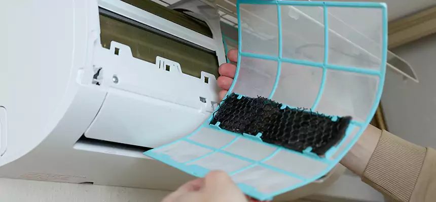 Gentle Ductwork Odor-Control Pet Dander Duct Cleaning in Arlington, WA