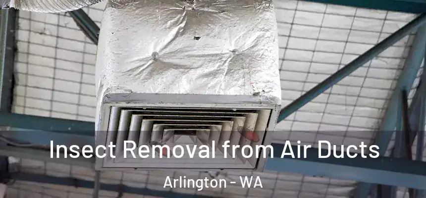  Insect Removal from Air Ducts Arlington - WA