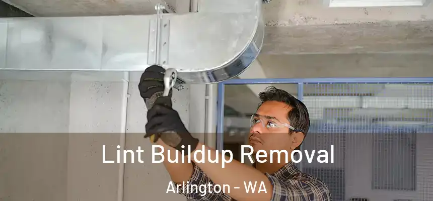  Lint Buildup Removal Arlington - WA