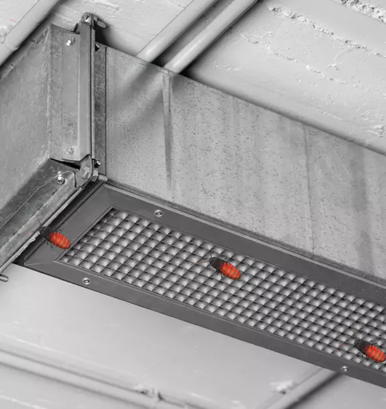 About Air Duct Cockroach Removal in Arlington, WA