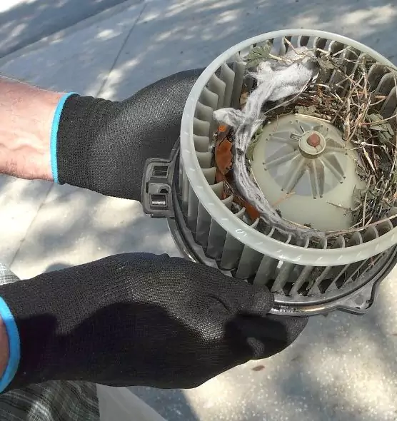 About Air Duct Mice Removal in Arlington, WA