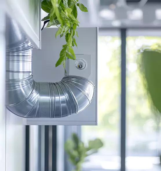 Professional Eco-Safe Dryer Vent Cleaning in Arlington, WA