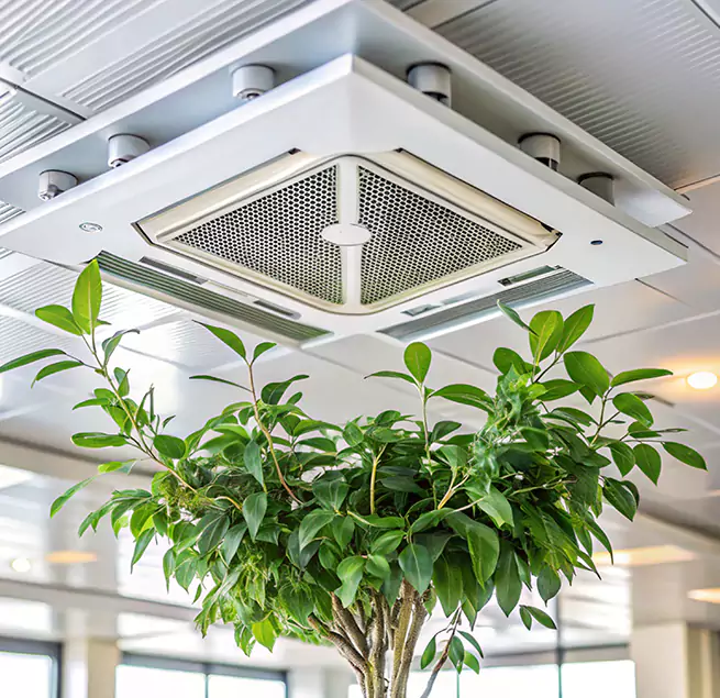 Why Homeowners & Businesses Trust Us in Arlington, WA