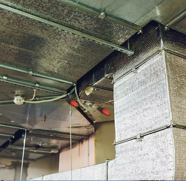 Why Homeowners & Businesses Trust Us Arlington, WA?