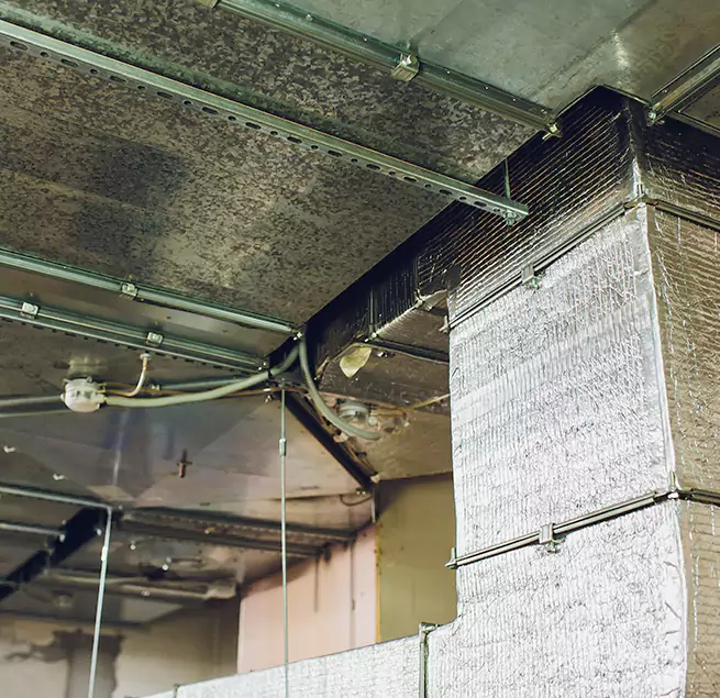 Why Homeowners & Businesses Trust Us in Arlington, WA?